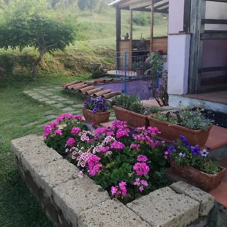 Κατάλυμα σε φάρμα Campolungo Sant'Ermo