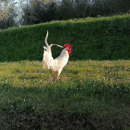 Campolungo Farmház Sant'Ermo