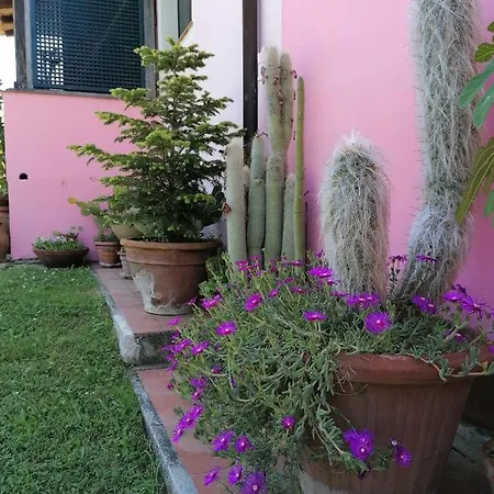 Campolungo Κατάλυμα σε φάρμα *