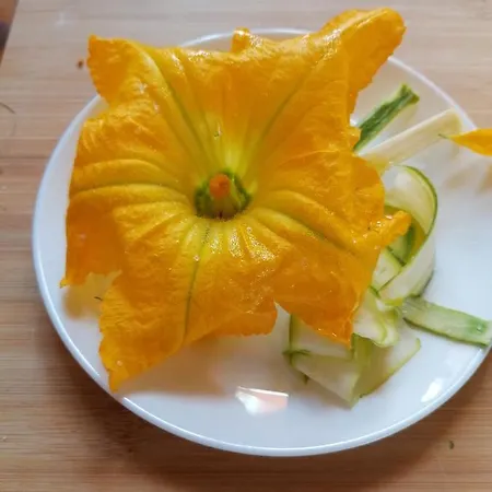 Campolungo Farmház *