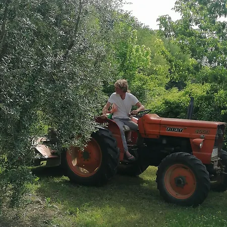 Farma Campolungo