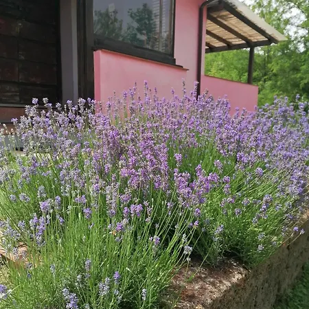Campolungo Farmház