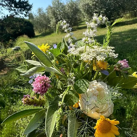 Farmház Campolungo Sant'Ermo