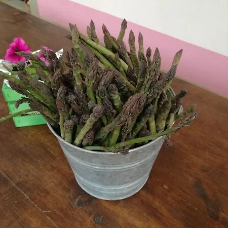 Farma Campolungo *