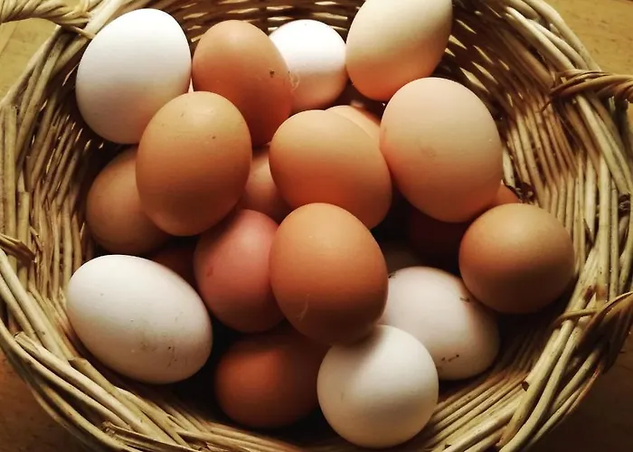 Campolungo Feriegård Sant'Ermo